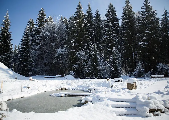 Apart Otel Haus Am Waldpark Scheidegg