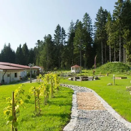 Lägenhetshotell Haus Am Waldpark 5*
