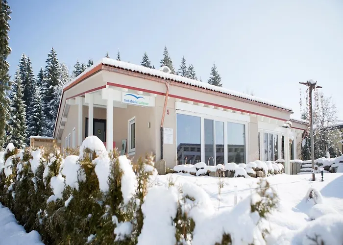 Haus Am Waldpark שיידג